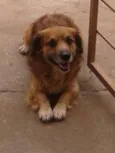 Bolinha