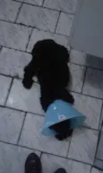 negão