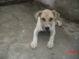 BEN