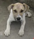 BEN