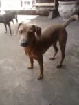 Ze
