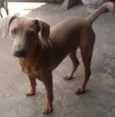 Ze