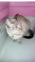 Mimi