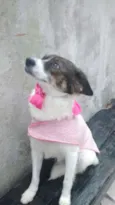linda