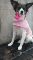 linda