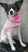 linda