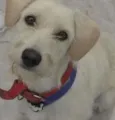 Bianca