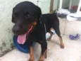 Tayson