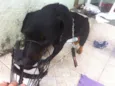 Tayson