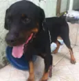 Tayson