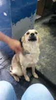 Não tem
