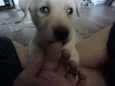 Nanok, Cronos, Akna