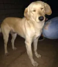 Zé