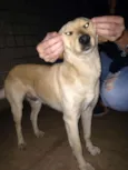 Zé