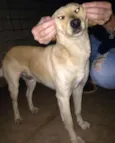 Zé