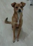 Tita