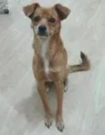 Tita