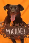 MICHAEL