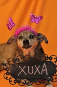 XUXA
