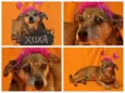 XUXA