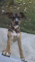 Mel