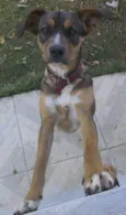 Mel