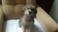 princesa