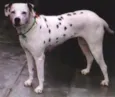Nina