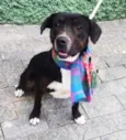 Max