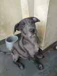 Bebe lindo