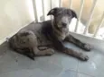 Bebe lindo