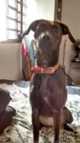 kiara