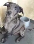 Bebe lindo