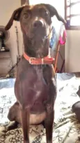 kiara