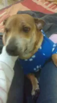 Pochoco
