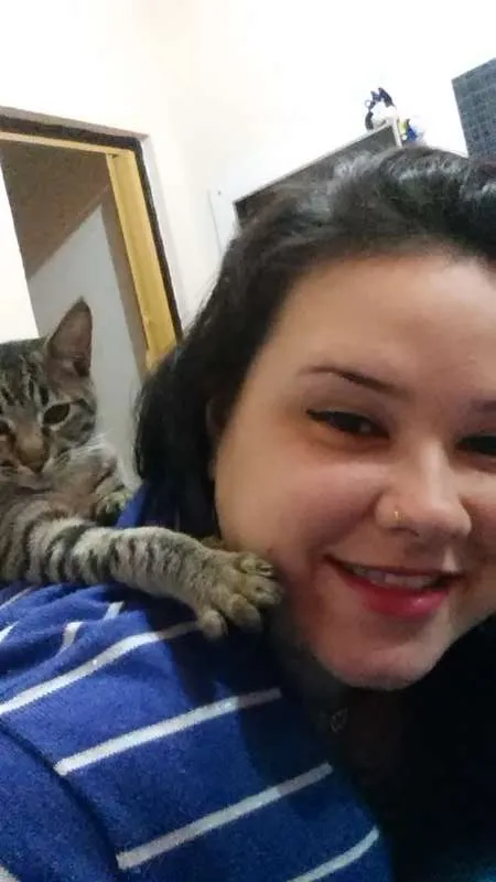 Gato raça Sem raça definida idade 7 a 11 meses nome Bob