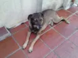 KIKO