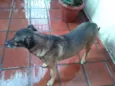KIKO