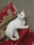 Bebê