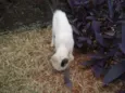 Bebê