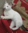 Bebê