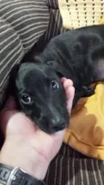 Fiona