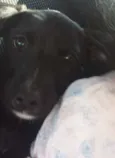 Fiona