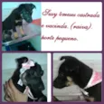 SUSY