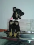 SUSY