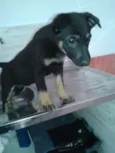 SUSY