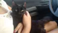 Lua
