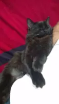 Lua