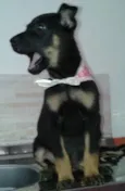 SUSY