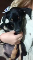 Maya